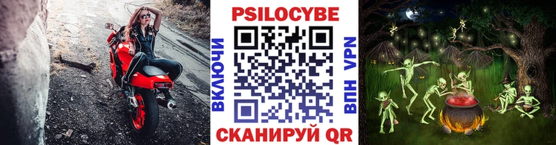 Псилоцибиновые грибы Magic Shrooms  omg рабочий сайт  Биробиджан  где продают  