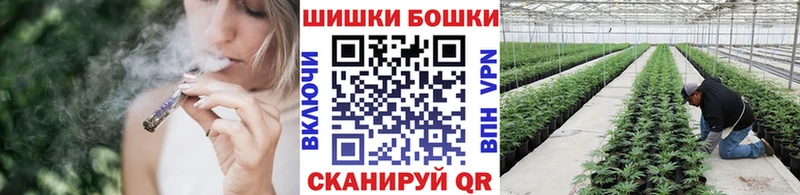 Бошки Шишки SATIVA & INDICA мега ссылки Биробиджан
